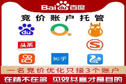 SEM托管服务实战案例：打造高效广告投放策略